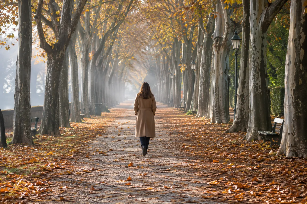 Personne vue de dos marchant lentement sur une allée de parc bordée de platanes dans la brume
